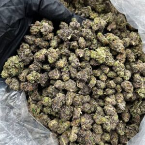Biscotti Smalls strain