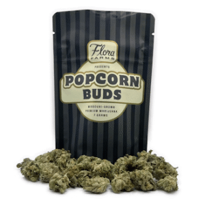Dondo of the Dead Featured Popcorn Buds