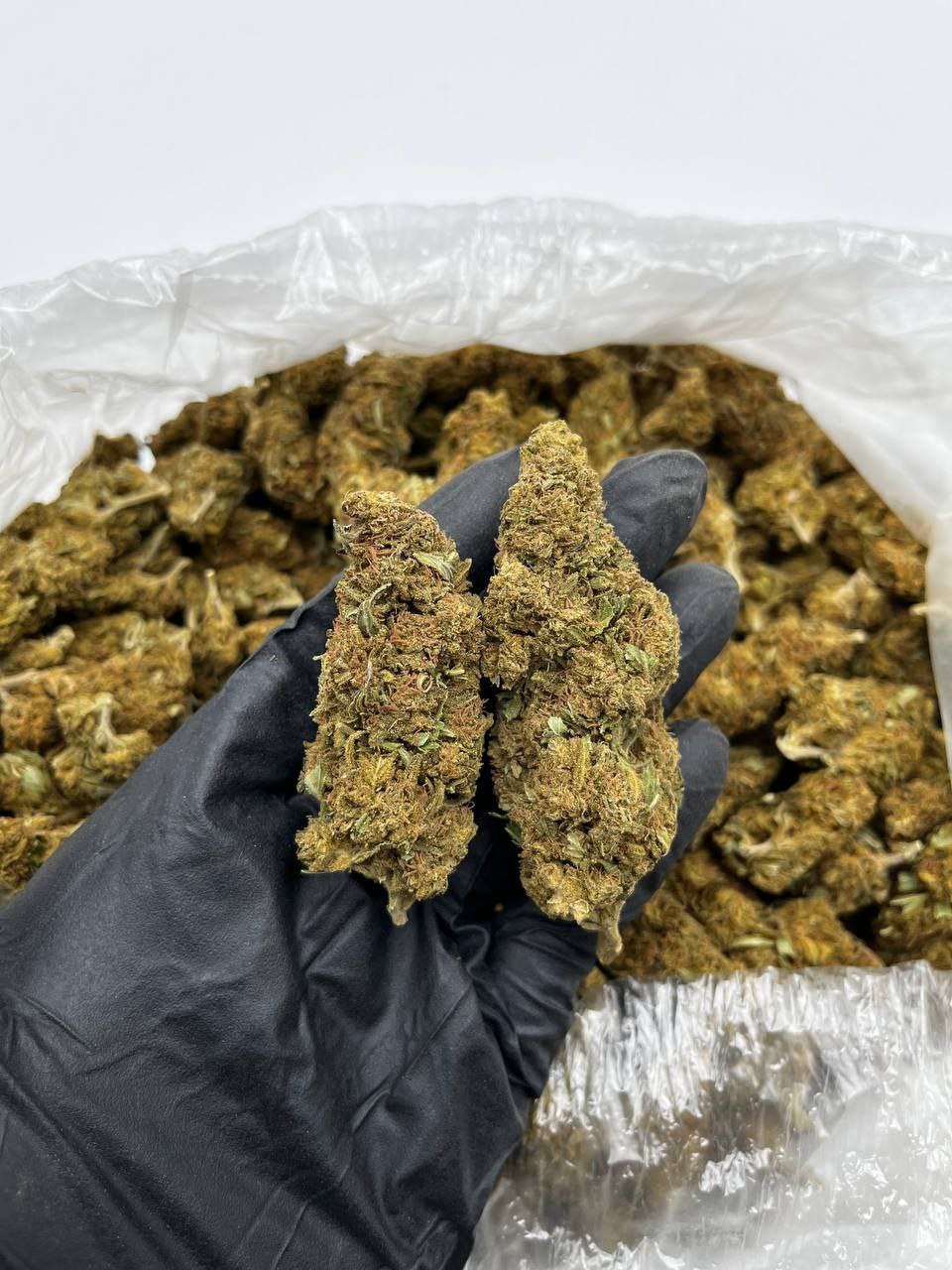 Donkey Butter strain