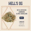 Hell's OG 28G