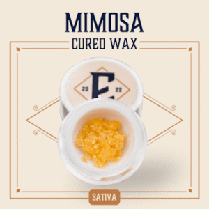 Mimosa Cured Wax