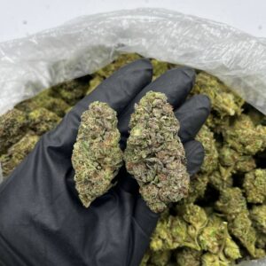 Mochi Breath strain