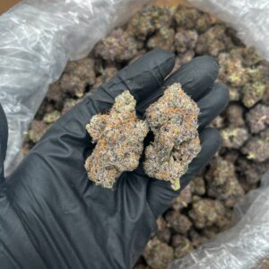Moose Tracks strain