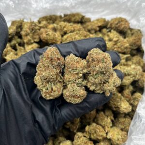 Pineapple Upside Down Cake Strain