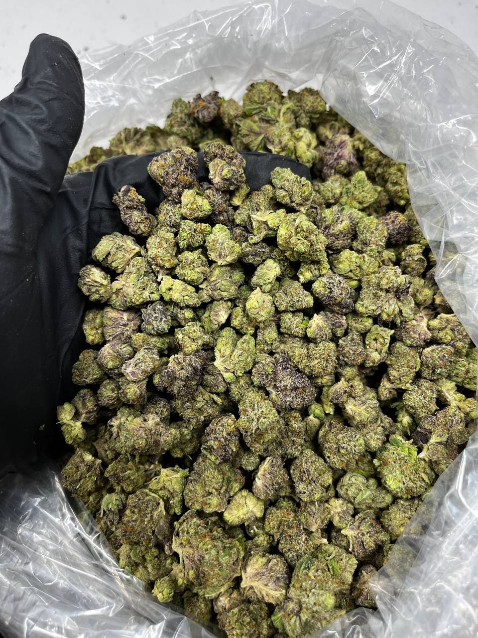 Pop Rox Smalls strain