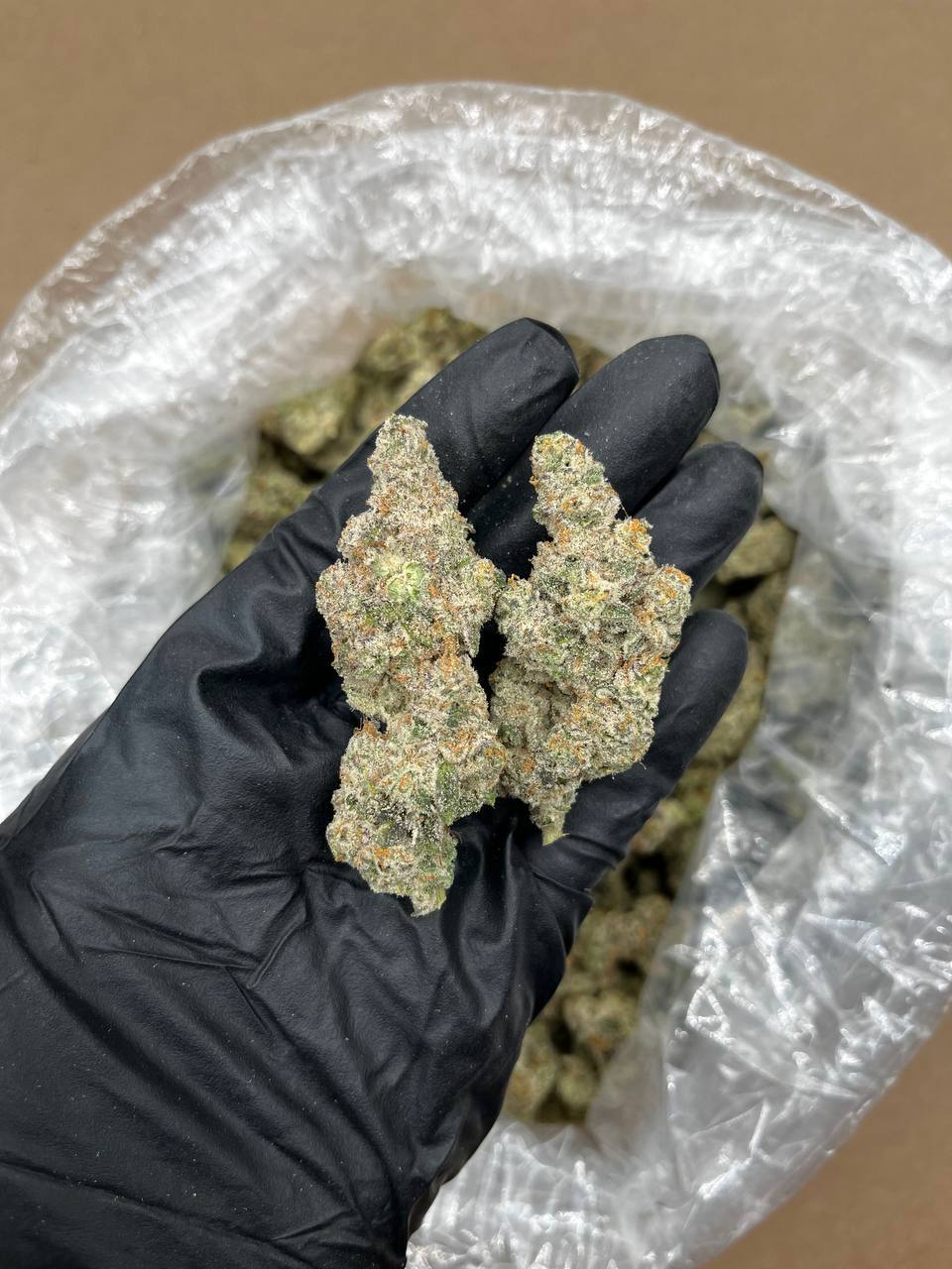 White Gummy Bear Strain