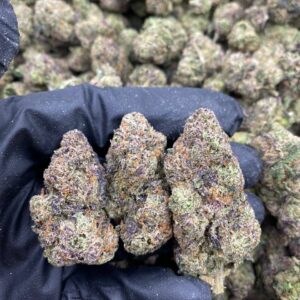 RAINBOW ZKITTLEZ RUNTZ